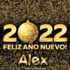 Happy New Year Names2 Mov 18