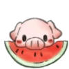 ️Pig    MOV 18