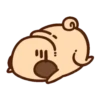 Pug Dog mov 15