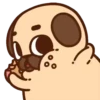 Pug Dog mov 17