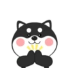 ️Chay duo dog   MOV 11