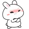 Baby rabbit  .MOV 11