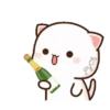 MOCHIS🐈CAT Extra"F" MOV 17