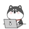 ️Chai dog   MOV 14