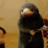 Fantastic animals  Movi 17