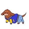 Perros Difras 2 18
