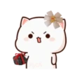 MOCHIS🐈CAT Extra"F" MOV 18