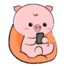 Little pig 3  .MOV 17