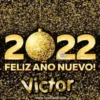 Happy New Year Names2 Mov 22