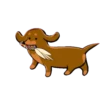 Perritos y salchichas4(❍ᴥ❍ʋ) 21