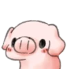 ️Pig    MOV 21