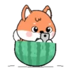 Cute orange fox  .MOV 16