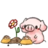 ️Pig    MOV 22