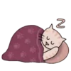 Dormir 21