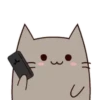 Chek Meow 20