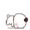 Sugar & Brownie (23) 22
