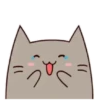 Chek Meow 21