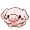 ️Pig    MOV 25