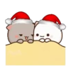 MOCHIS🐈CAT Extra"F" MOV 20