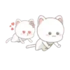 Cute Cat Couple mov 11