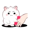 Chonky Rabbit  .MOV 17