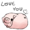 ️Pig    MOV 26