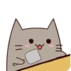 Chek Meow 23
