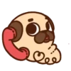 Pug Dog mov 23