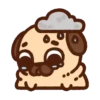 Pug Dog mov 25