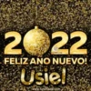 Happy New Year Names2 Mov 26