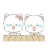 Cute Cat Couple mov 15