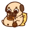 Pug Dog mov 26