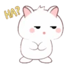 Chonky Rabbit  .MOV 21