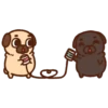 Pug Dog mov 27