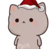 MOCHIS🐈CAT Extra"F" MOV 23