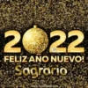 Happy New Year Names Mov 24