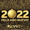 Happy New Year Names2 Mov 28