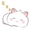Chonky Rabbit  .MOV 22