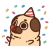 Pug Dog mov 28