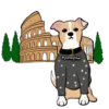 Perritos y salchichas4(❍ᴥ❍ʋ) 26