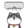 ️Chai dog   MOV 24