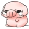 ️Pig    MOV 27