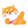 ️Chay duo dog   MOV 23