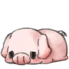 ️Pig    MOV 28