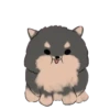 Perritos 2 (mov) 6