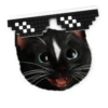 Cute 3 Cats (mov) 7