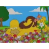 Reacciones (mov) 9