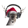 Navidad Mov 4 7