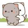 MOCHI CAT  UNA MÁS.mov 13
