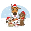 NAVIDEÑOS MOV 14